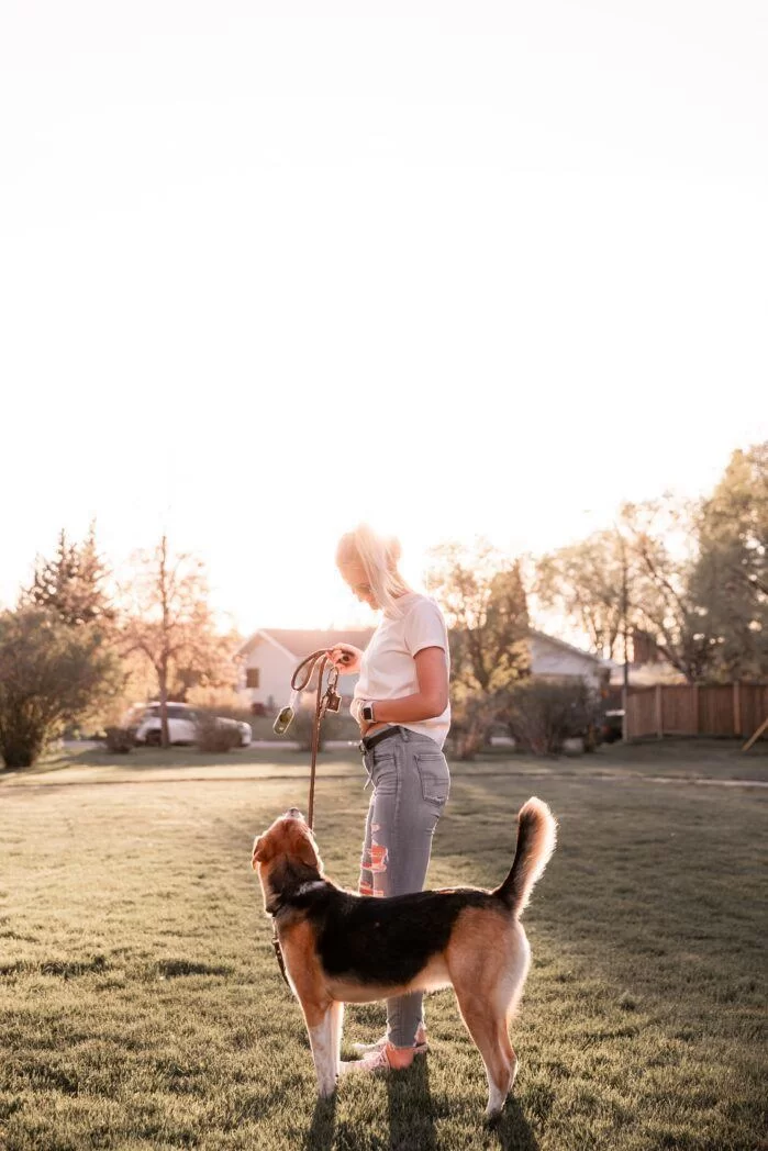 vip training uitvallende hond