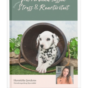 e-book stress en reactiviteit