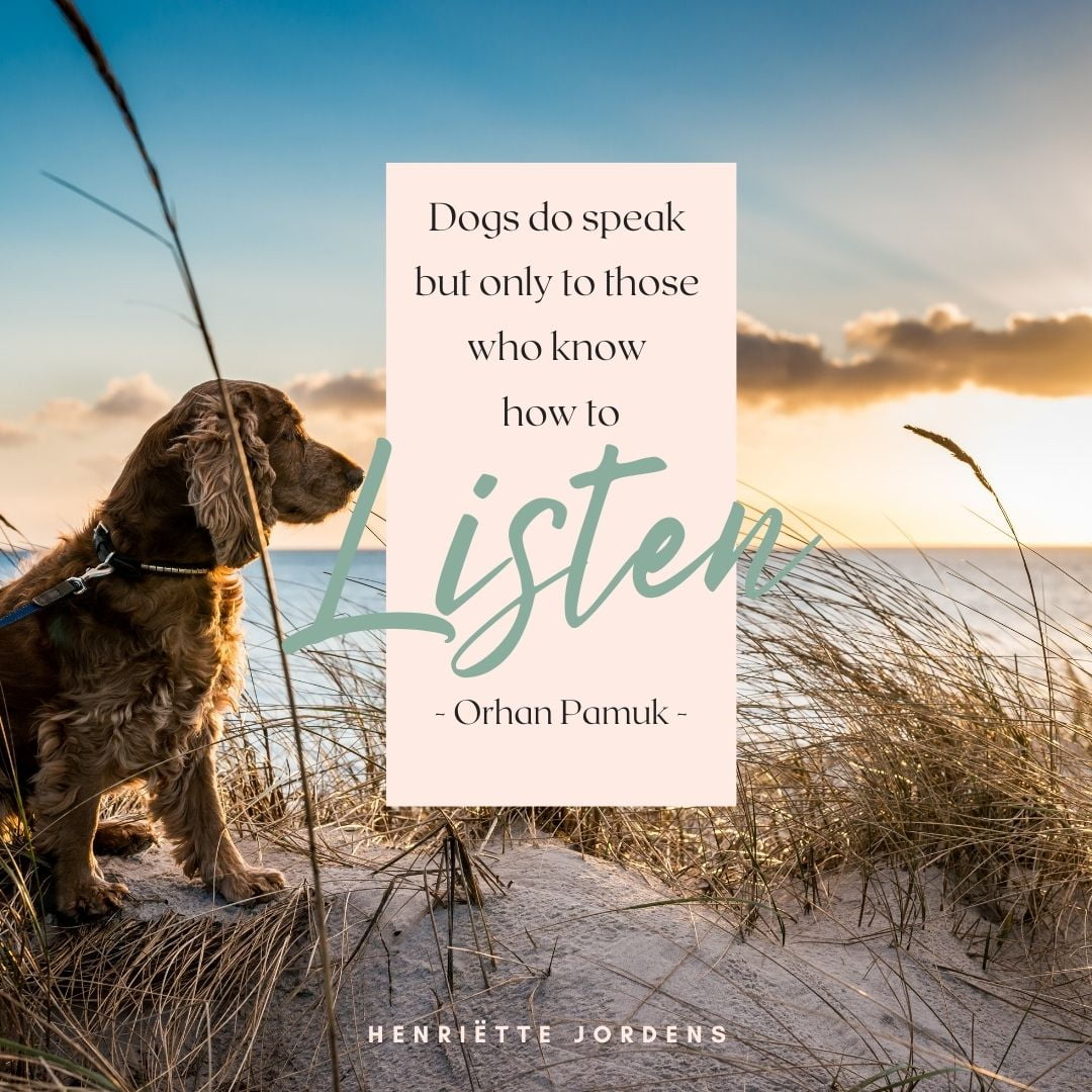 'Dogs do speak but only to those who know how to listen'