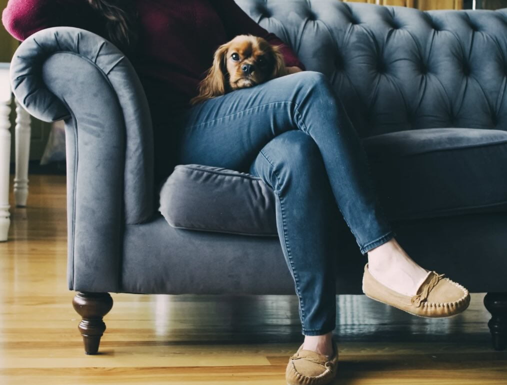 Hoe kalmeer je een angstige hond door vuurwerk