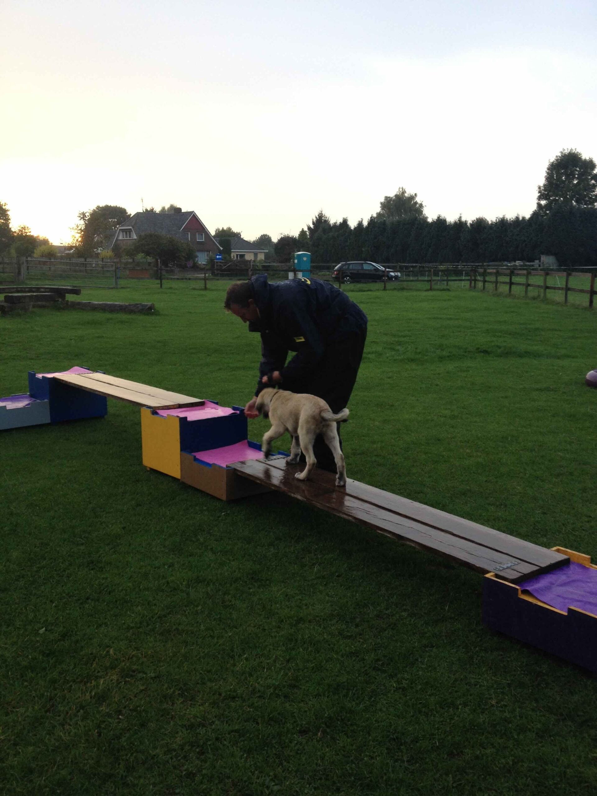 Puppycursus / puppy gehoorzaamheidstraining plankenparcours
