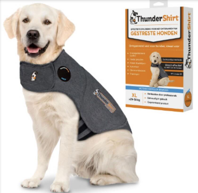 Thundershirt bij labrado