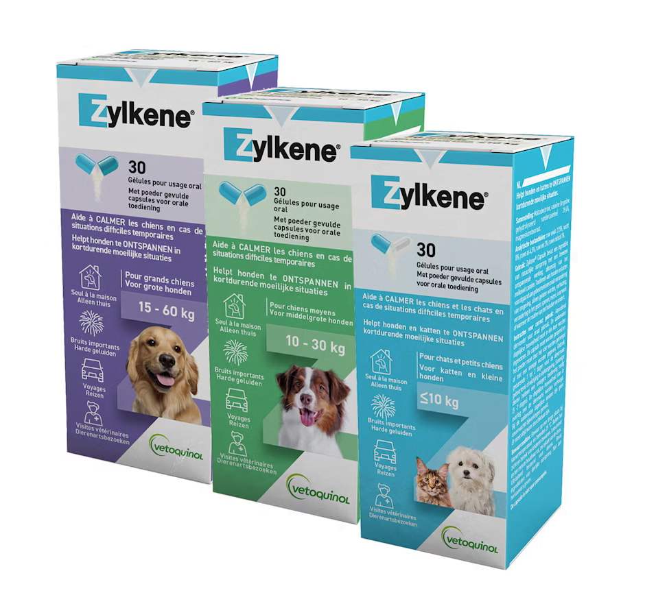 Zylkene pillen voor vuurwerk hond